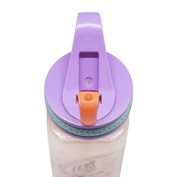Botella hermética cuadrada Disney Frozen 500 ml