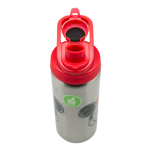 Botella metálica Disney Mickey 600 ml