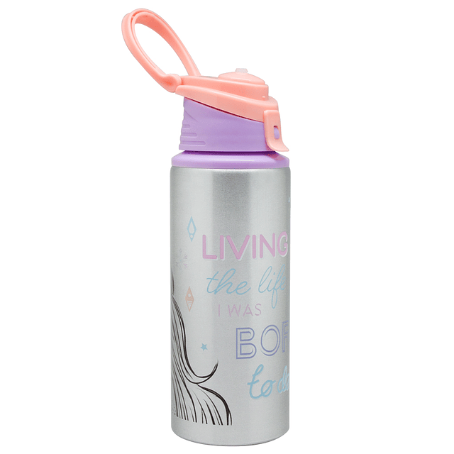Botella metálica Disney Frozen 500 ml