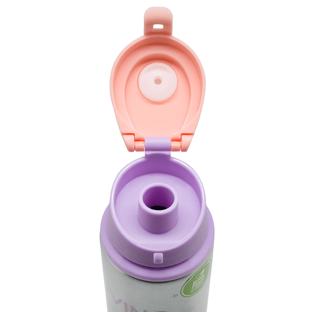 Botella metálica Disney Frozen 500 ml