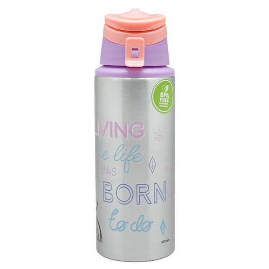 Botella metálica Disney Frozen 500 ml